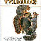 A Country-Lover's Guide To Wildlife: Mammals, Amphibians, And Reptiles Of The Northeastern US