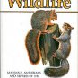 A Country-Lover's Guide To Wildlife: Mammals, Amphibians, And Reptiles Of The Northeastern US