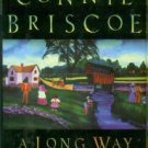 Briscoe, Connie. A Long Way From Home