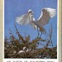 Sprunt, Alexander and Grimes, Samuel A. An Album Of Southern Birds