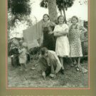 Wolcott, Marion Post. Marion Post Wolcott: FSA Photographs