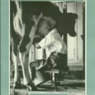 Galusha, Diane. Through A Woman's Eye: Pioneering Photographers In Rural Upstate