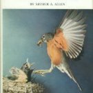 Allen, Arthur A. Stalking Birds With Color Camera