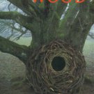 Goldsworthy, Andy. Wood