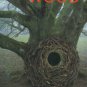 Goldsworthy, Andy. Wood