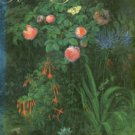 Fearnley-Whittingstall, Jane. Rose Gardens: Their History And Design