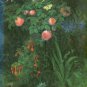Fearnley-Whittingstall, Jane. Rose Gardens: Their History And Design