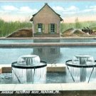 Divided Back Postcard. Perkiomen Avenue Filtering Beds, Reading, PA