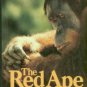 Schwartz, Jeffrey H. The Red Ape: Orang-Utans and Human Origins