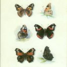 Russwurm, A. D. A. Aberrations of British Butterflies