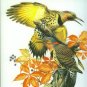 Zinsser, William. Roger Tory Peterson: The Art and Photography of the World's Foremost Birder