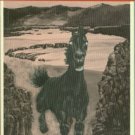 Walker, Ronald G. Infernal Paradise: Mexico and the Modern English Novel