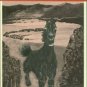 Walker, Ronald G. Infernal Paradise: Mexico and the Modern English Novel