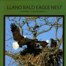 Llano Bald Eagle Nest: A Three Year Pictorial History Of Three Adults And The Eaglets They Raised