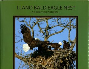Llano Bald Eagle Nest: A Three Year Pictorial History Of Three Adults And The Eaglets They Raised