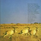 Barrett, Peter, Ed. Great True Hunts