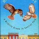 Winn, Marie. Red-Tails In Love: A Wildlife Drama in Central Park