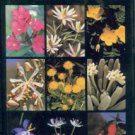 Bell, C. Ritchie, and Taylor, Bryan J. Florida Wild Flowers And Roadside Plants
