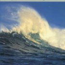 Lundy, Derek. Godforsaken Sea: Racing The World's Most Dangerous Waters