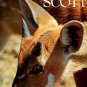 Scott, Peter and Philippa. Animals In Africa