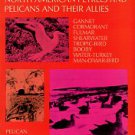 Bent, Arthur Cleveland. Life Histories Of North American Petrels And Pelicans And Their Allies