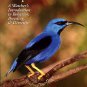 Hilty, S. Birds Of Tropical America: A Watcher's Introduction To Behavior, Breeding, And Diversity