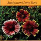 Duncan, Wilbur H, and Foote, Leonard E. Wildflowers Of The Southeastern United States