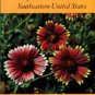 Duncan, Wilbur H, and Foote, Leonard E. Wildflowers Of The Southeastern United States