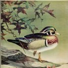 Grimm, William C. Birds Of The Pymatuning Region