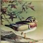 Grimm, William C. Birds Of The Pymatuning Region