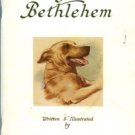 Morse-Brown, Sam. A Dog Called Bethlehem