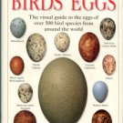 Walters, Michael. Birds' Eggs