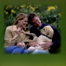 Gillison, Angela. Rumors Of Wrought Iron