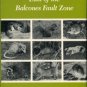 Schmidly, David J. Texas Mammals East Of The Balcones Fault Zone