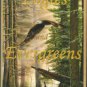 Charles, Robert B. Eagles And Evergreens: A Rural Maine Childhood