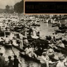 Buckland, Gail. The Golden Summer: The Edwardian Photographs Of Horace W. Nicholls