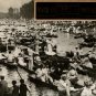 Buckland, Gail. The Golden Summer: The Edwardian Photographs Of Horace W. Nicholls