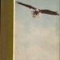 Lindbergh, Charles A. The Spirit Of St. Louis [Book Club Edition In Slipcase]