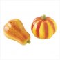HARVEST PUMPKIN SHAKERS