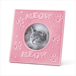 CAT PICTURE FRAME