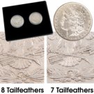 1878 Morgan Dollar 7 & 8 Tail Feather Set