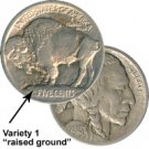 1913 ""Raised Ground"" Buffalo Nickel (Type I:1st Yr) Unc