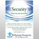 Essential Oil Blend Security Wellspring Prosperity