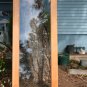 glass doors