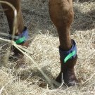 Don't Bug Me - Equine Leg Bands - Solid Colors