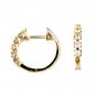 14K Diamond Earring