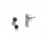 14K Gold Sapphire and Diamond Earrings