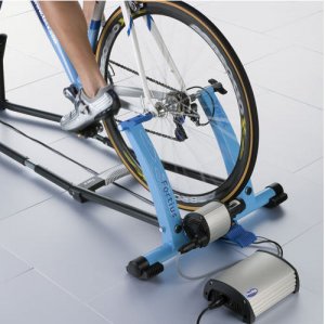 1 Week Virtual Trainer