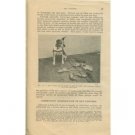 Rat Control USDA Farmer's Bulletin #1533 Vintage 1927