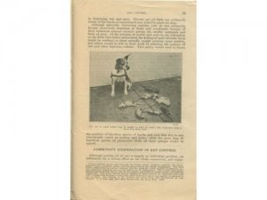 Rat Control USDA Farmer's Bulletin #1533 Vintage 1927
